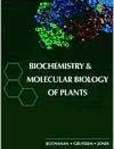 Biochemistry & Molecular Biology of Plants | Edition: 1